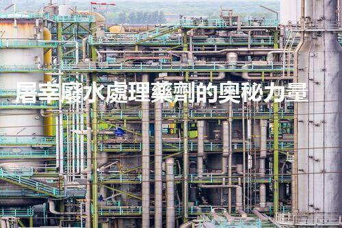 屠宰廢水處理藥劑的奧秘力量，能讓廢水變清泉？